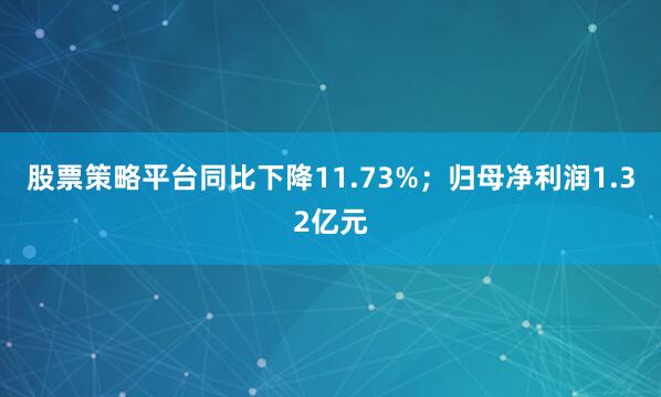 股票策略平台同比下降11.73%；归母净利润1.32亿元