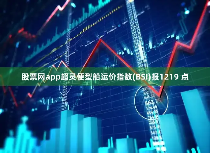 股票网app超灵便型船运价指数(BSI)报1219 点