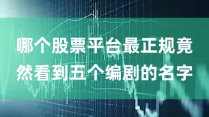 哪个股票平台最正规竟然看到五个编剧的名字